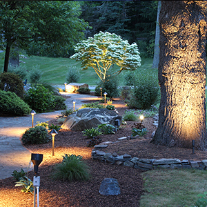 garden landscape lighting